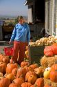 A woman shops for pumpkins at a farmers market in Canyon County, Idaho. MR