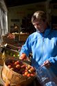 A woman shops at a farmers market in Canyon County, Idaho. MR