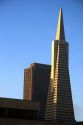 The Transamerica tower in San Francisco, California.