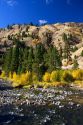 Autumn on the Payette River in Idaho.