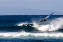 Windsurfing in the pacific ocean off the island of Maui, Hawaii.