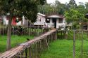 Walkways and houses on stilts in the Amazon, Brazil.