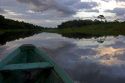 Dusk on the Arasa River in the Amazon jungle near Manaus, Brazil.
