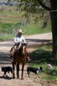 Cowboy on horseback and his dogs at a cattle round up near Emmett, Idaho.