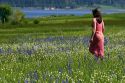 Woman walking through a meadow of wildflowers including the camas lily in Valley County, Idaho. MR