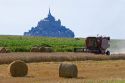 Harvesting wheat with Le Mont Saint Michel in the background in the region of Basse Normandie, France.