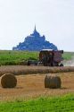 Harvesting wheat with Le Mont Saint Michel in the background in the region of Basse-Normandie, France.