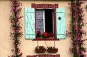 House with a nice display of geraniums in the department of Manche, France.