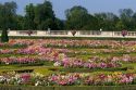 The formal gardens at The Palace of Versailles at Versailles in the department of Yvelines, France.