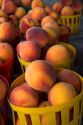 Peaches being sold at a fruit stand near Albany, Georgia.