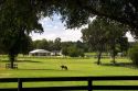 Thoroughbred horse farms in Marion County, Florida.