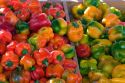 A colorful display of peppers at a roadside fruit stand in Fruitland, Idaho.