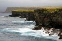 The cliffs at South Point are the Southern most point of the United States on the Big Island of Hawaii.