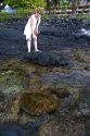 A tourist looking at a Hawaiian Green Sea Turtle in a a tidal pool on the Big Island of Hawaii. MR