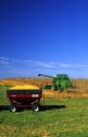 Corn harvest in central Illinois.