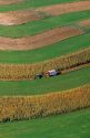 Aerial view of  contour strip farming corn harvest in Southwest Wisconsin.