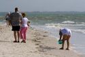 Beachcombers searching for seashells on the beach at Sanibel Isalnd on the Gulf Coast of Florida.