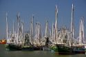Commercial shrimp boats in Galveston, Texas.