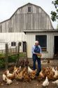 Farmer feeding his chickens on a farm in Lenawee County, Michigan. MR