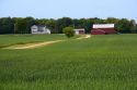 Unripe wheat and farmstead in Ingham County, Michigan.