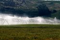 Sprinkler irrigation of a wheat field in Elmore County, Idaho.