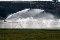 Sprinkler irrigation of a wheat field in Elmore County, Idaho.