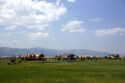 Large homes in the Teton Springs resort planned community at Victor, Idaho.