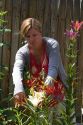 31 year old woman deadheading lilies in the garden, Boise, Idaho. MR