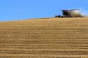 Combine harvesting ripe wheat in Eastern Washington.