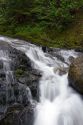 Fresh water mountain stream in the North Cascade Range, Washington.