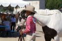 Girl showing her Pinto horse to 4-H judges at the Western Idaho Fair in Boise, Idaho.