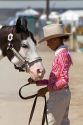 Girl showing her Pinto horse to 4-H judges at the Western Idaho Fair in Boise, Idaho.