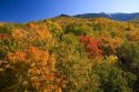 Scenic view of fall foliage and Mount Lafayette from Franconia Notch State Park, New Hampshire, USA.