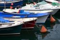 Boats moored in the fishing port of Lekeitio in the province of Biscay, Basque Country, Northern Spain.