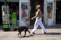 Woman walking a dog in the town of Saint-Jean-de-Luz, Pyrenees-Atlantiques, French Basque County, Southwest France.
