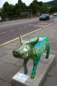 Painted pig sculpture is a part of the public art event, King Bladud's Pigs in Bath, Somerset, England.