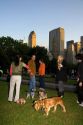 Dog owners socialize in Central Park, Manhattan, New York City, New York, USA.