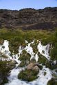 Fresh water springs in Niagra Springs State Park in Hagerman, Idaho, USA.