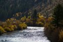 Fall foliage along the south fork of the Boise River in Elmore County, Idaho, USA.