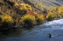 Fly fishing on the south fork of the Boise River in Elmore County, Idaho, USA.