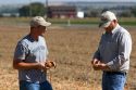 Farmers check for the moisture content of harvested onions in Canyon County, Idaho, USA. MR