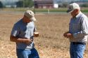 Farmers check for the moisture content of harvested onions in Canyon County, Idaho, USA. MR
