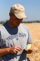 Farmer checks for the moisture content of harvested onions in Canyon County, Idaho, USA. MR