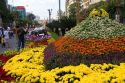 Flower displays are a part of the Tet Lunar New Year celebration in Ho Chi Minh City, Vietnam.