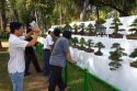 Bonsai trees on display at the Nguyen Hue Boulevard Flower Show in Ho Chi Minh City, Vietnam.