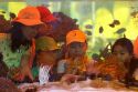 Vietnamese children view fish in a tank on display at the Nguyen Hue Boulevard Flower Show in Ho Chi Minh City, Vietnam.