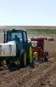 Farmer planting potato crop in Canyon County, Idaho, USA.