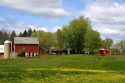 Horse graze in front of a red barn on a farm in Sauk County, Wisconsin, USA.