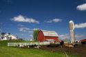Cows in front of a red barn and silo on a farm north of Arcadia, Wisconsin, USA.
