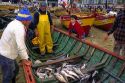 Fishermen sell fresh caught fish out of boats on the beach at Valparaiso, Chile.